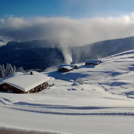 Moesern Steinplatte Unken