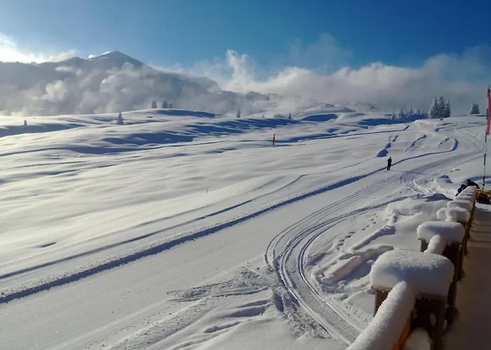 Apartment Mösern Steinplatte Unken