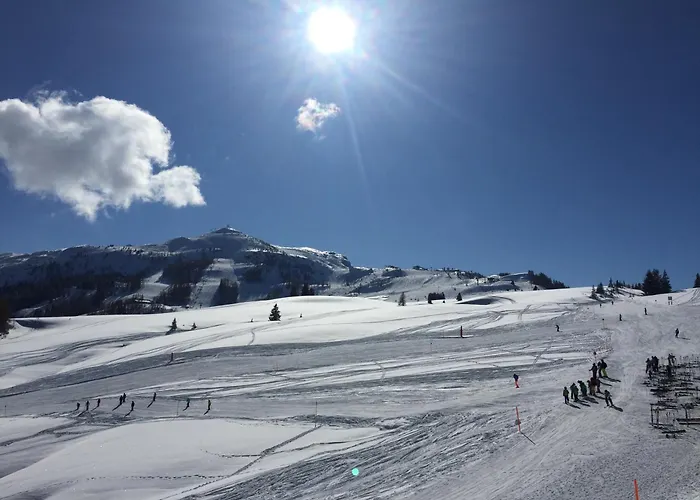 Apartment Mösern Steinplatte